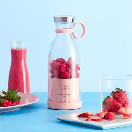 Mini Juicer Blender